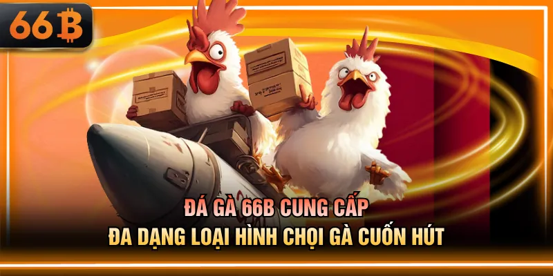Đá gà 66B cung cấp đa dạng loại hình chọi gà cuốn hút