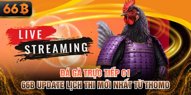 Đá Gà Trực Tiếp C1