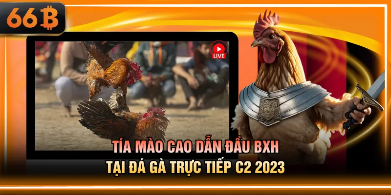Tía Mào Cao dẫn đầu BXH tại đá gà trực tiếp C2 2023