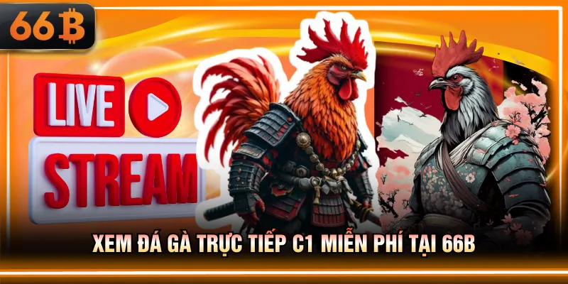Xem đá gà trực tiếp C1 miễn phí tại 66B